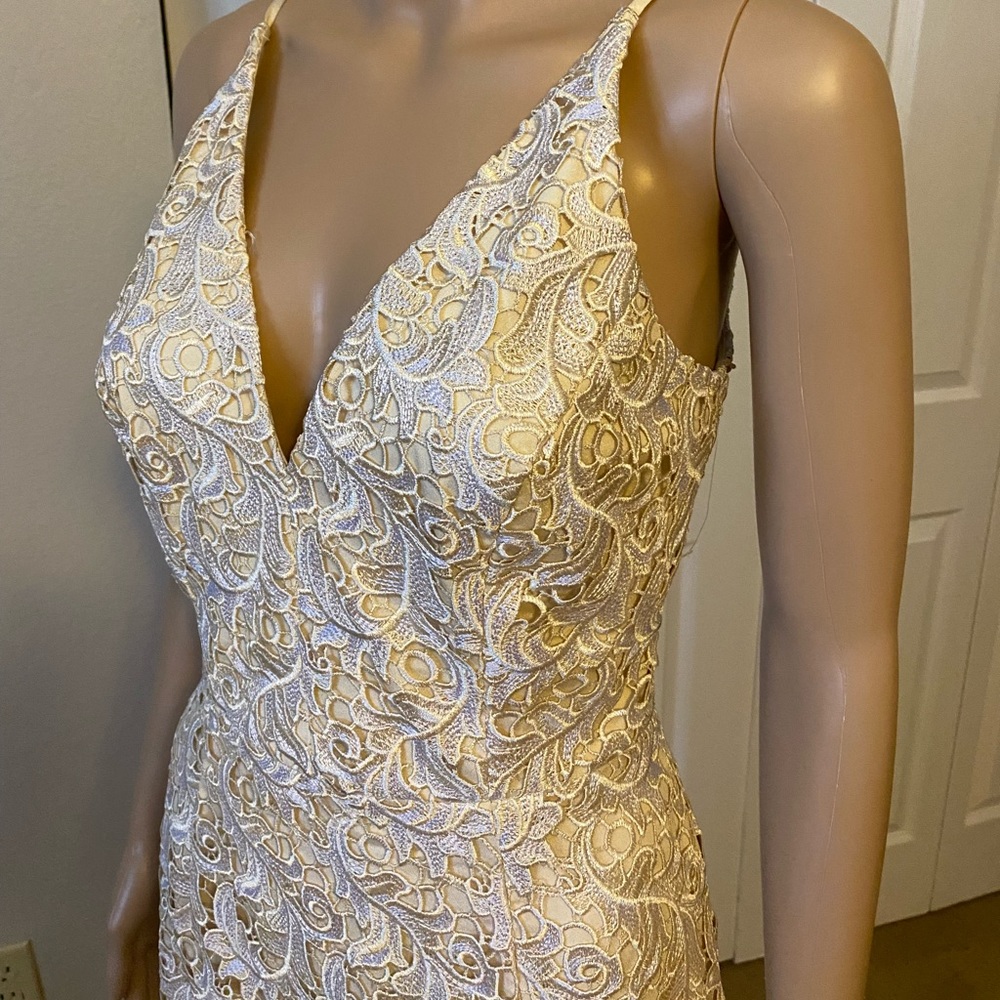NWT Dress the Population Dress